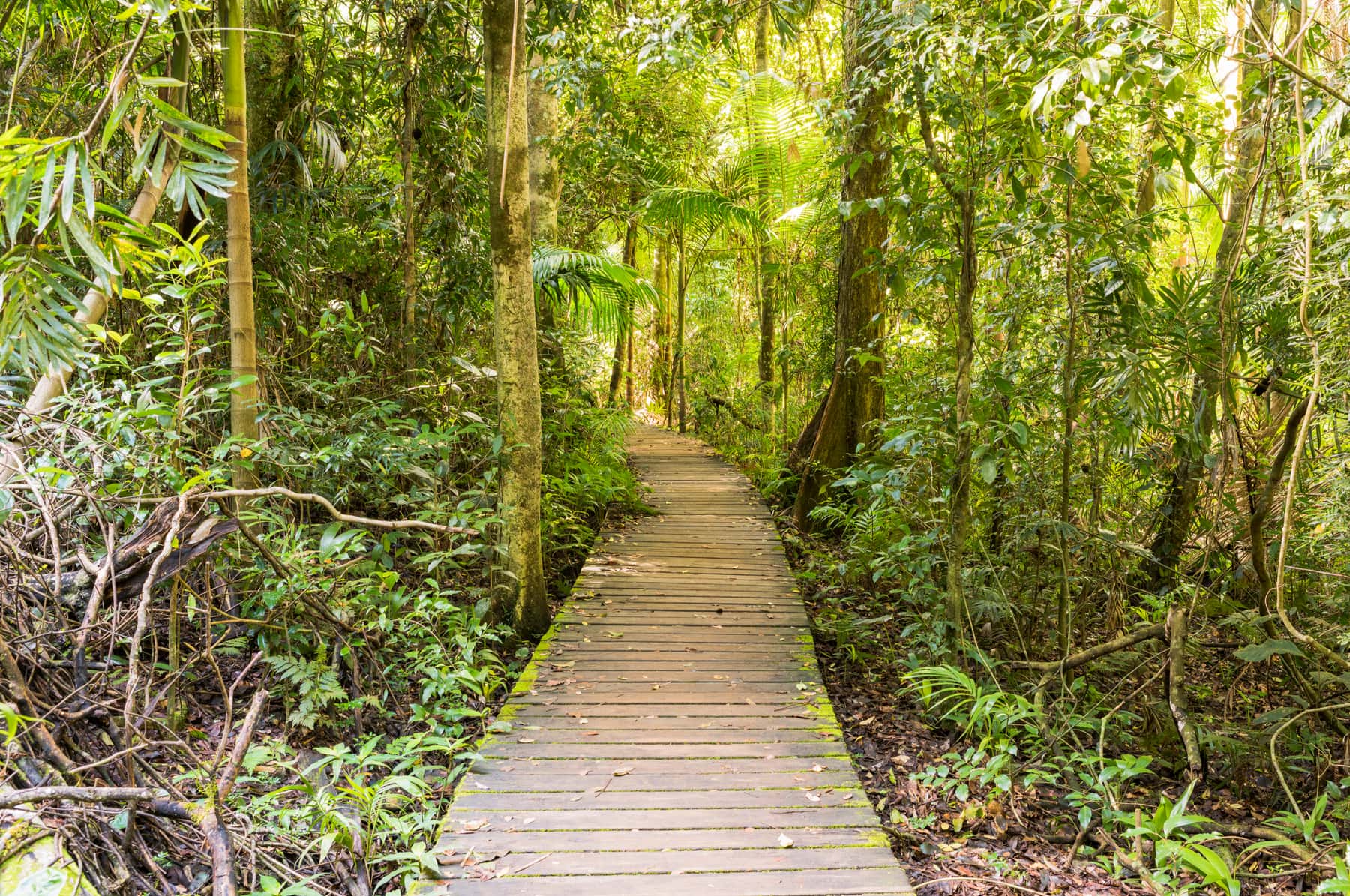 being in nature to help mental health after separation divorce